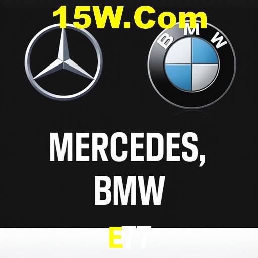 Apostas Esportivas na E77: Um Guia Completo