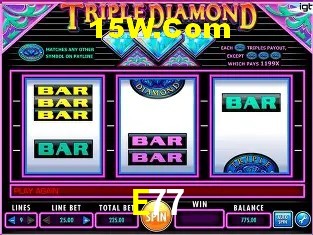 E77 Salvador - Support